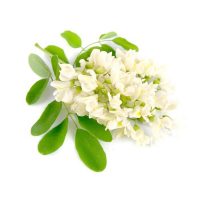Экстракт белой акации