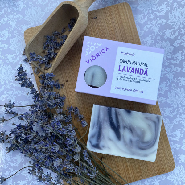 Levănțica – planta care a uimit omenirea încă 2500 de ani în urmă - Viorica Cosmetic MD