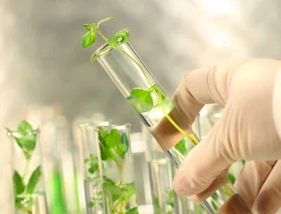 Natural vs Sintetic: ce alegi pentru pielea ta? - Viorica Cosmetic MD