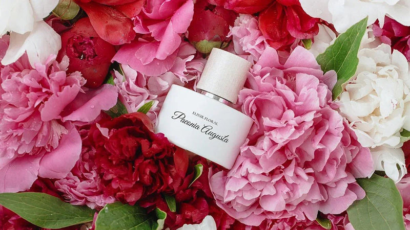 Colecția Elixir Floral - pasiune în fiecare picătură - Viorica Cosmetic MD