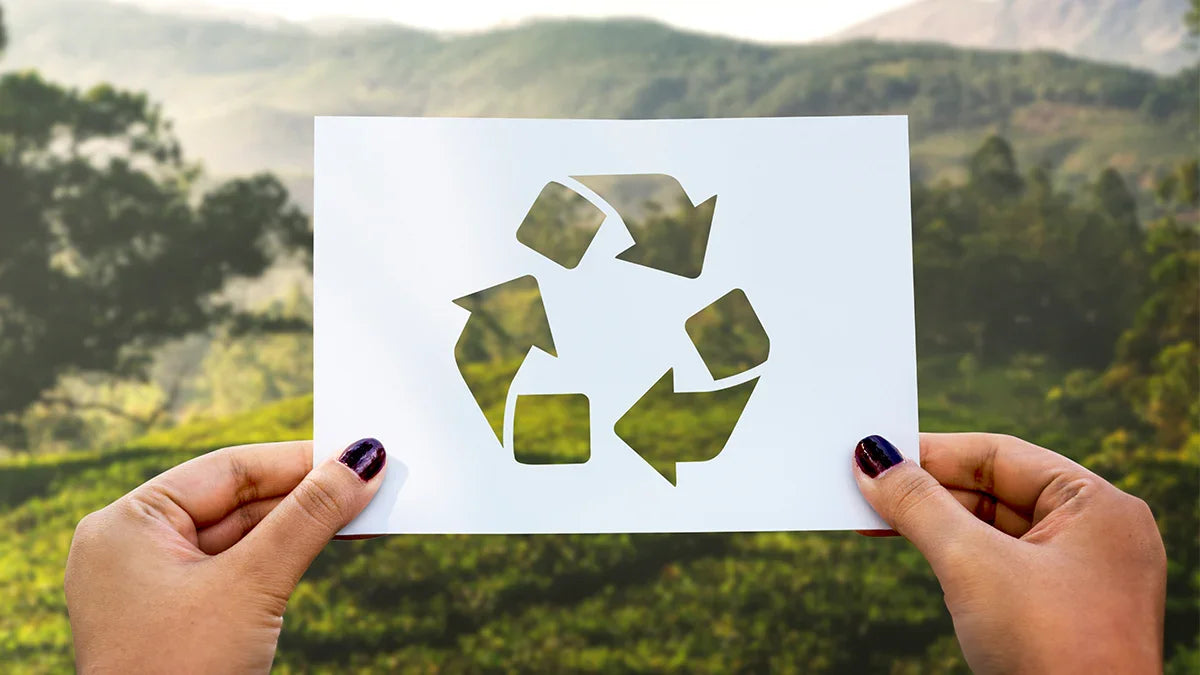 RECICLEAZĂ DE ZIUA MEDIULUI ȘI NU DOAR! - Viorica Cosmetic MD