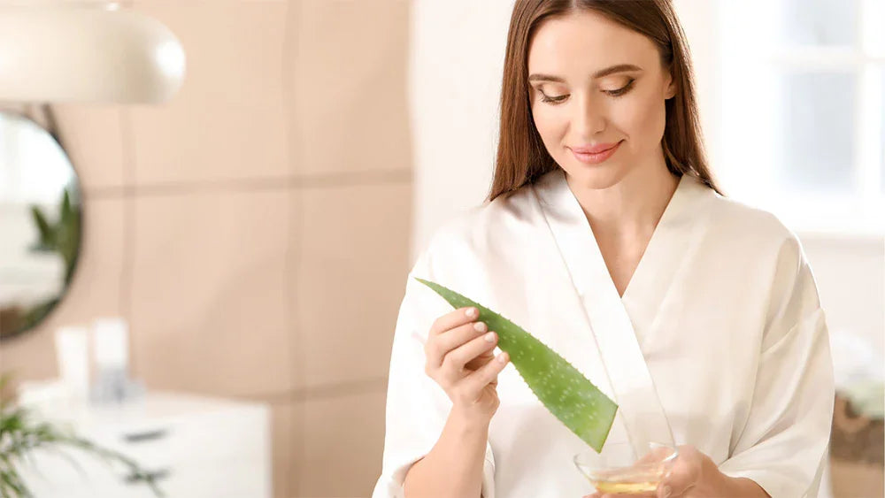 Extractul de Aloe Vera: beneficii și utilizări în produsele cosmetice - Viorica Cosmetic MD