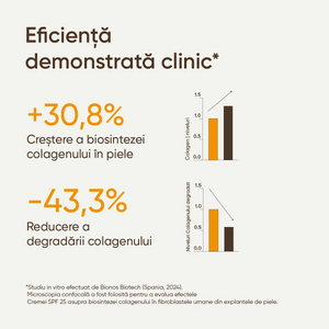 Crema 21Collagen SPF 25: +30,8% biosinteza colagenului, -43,3% degradarea colagenului