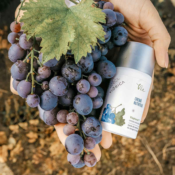 Cremă nutritivă Viorica Vie în mâna cu struguri proaspeți și frunze verzi.